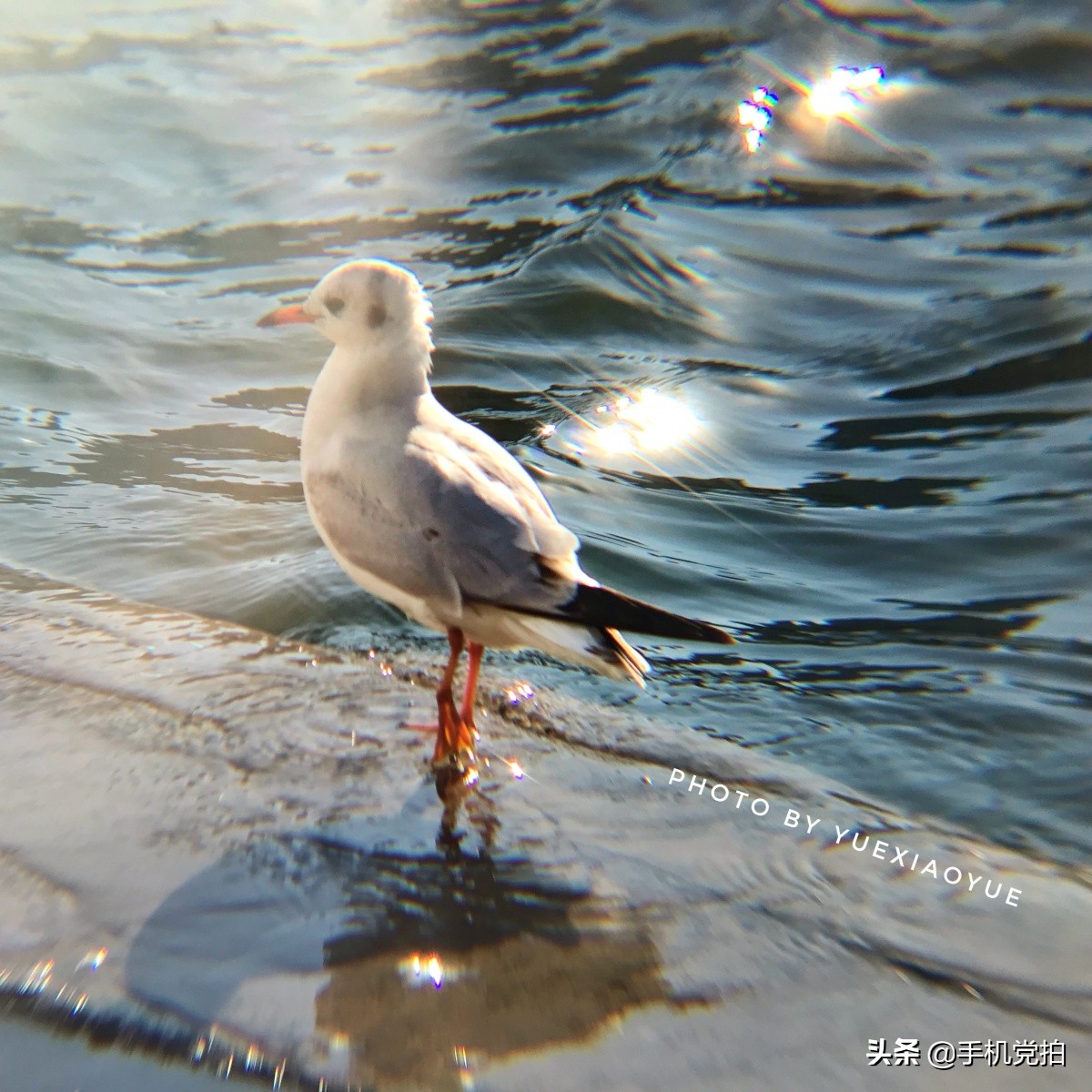 手机拍照逆光解决方法,手机拍照逆光怎么避免过曝
