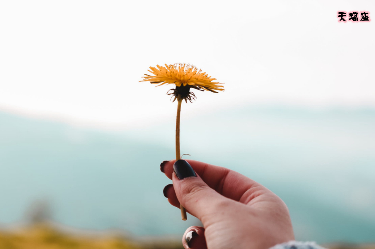 这三个星座最优秀但总是独来独往,高深莫测最具有神秘感的3个星座