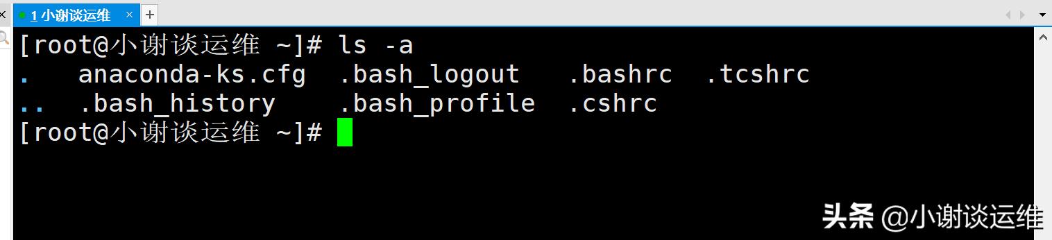 云计算自动化运维之Linux-ls命令详解