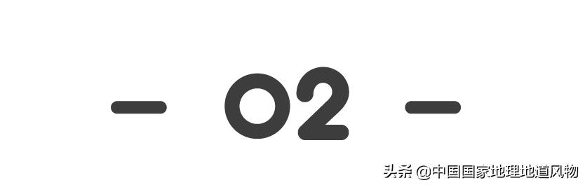 陕西人到底有多爱吃蒜,陕西人每年平均要吃掉多少蒜