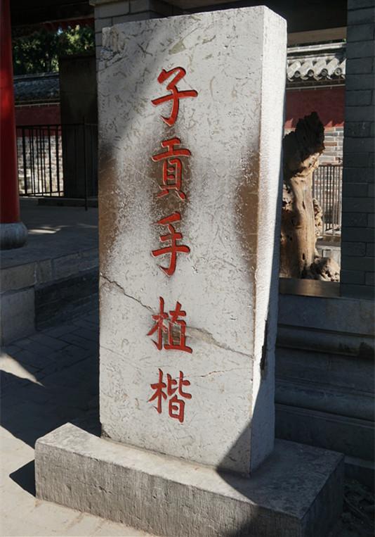 孔林是最大的氏族墓地吗,孔林各个时代的墓葬