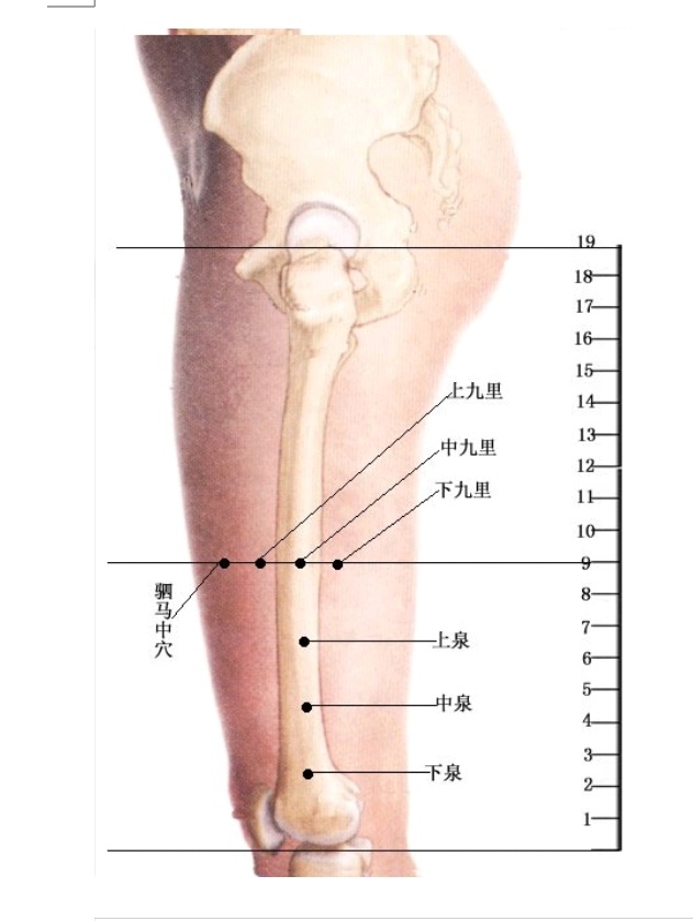 每日一学——学点董穴（1）