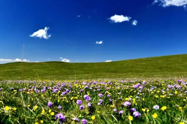 国家认证！*疆新**又一城市成为“中国天然氧吧”，大自然“空调房”就在……