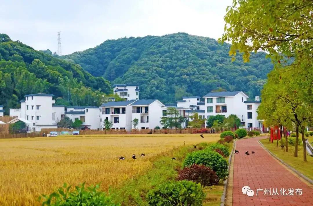 我是真的热啊,从化的天气有多冷