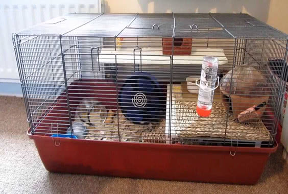 饲养仓鼠怎么选笼子好用,仓鼠冬天笼子可以是铁丝笼吗