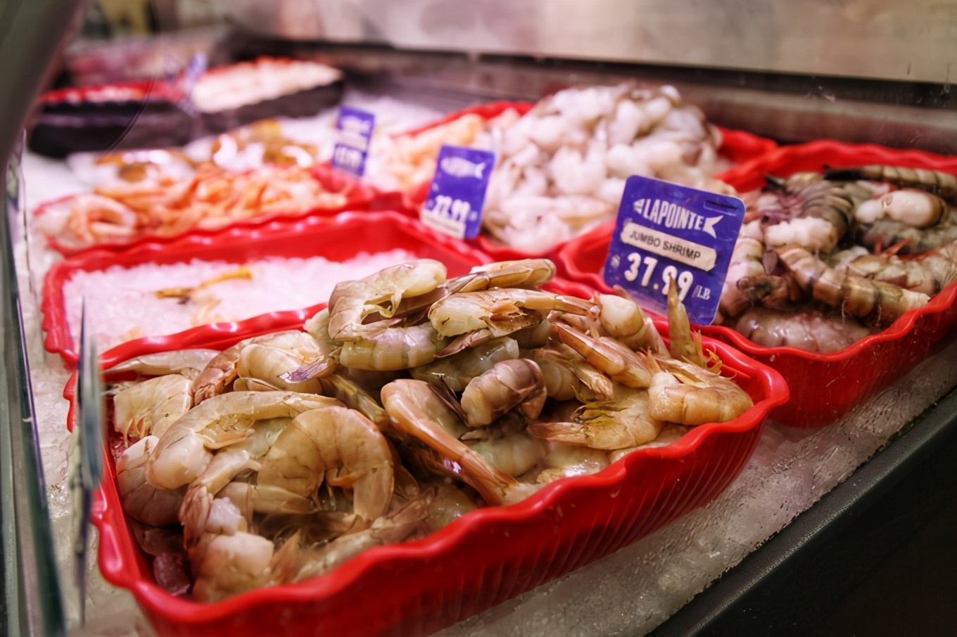 「怀念系列」加拿大（5）｜品尝奥巴马同款枫叶糖