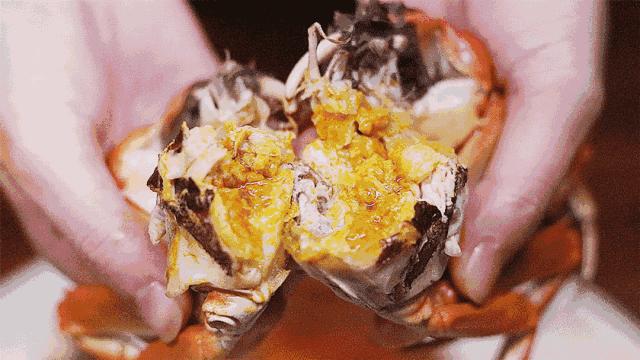 中国动物死亡事件,全国每年有多少动物死亡