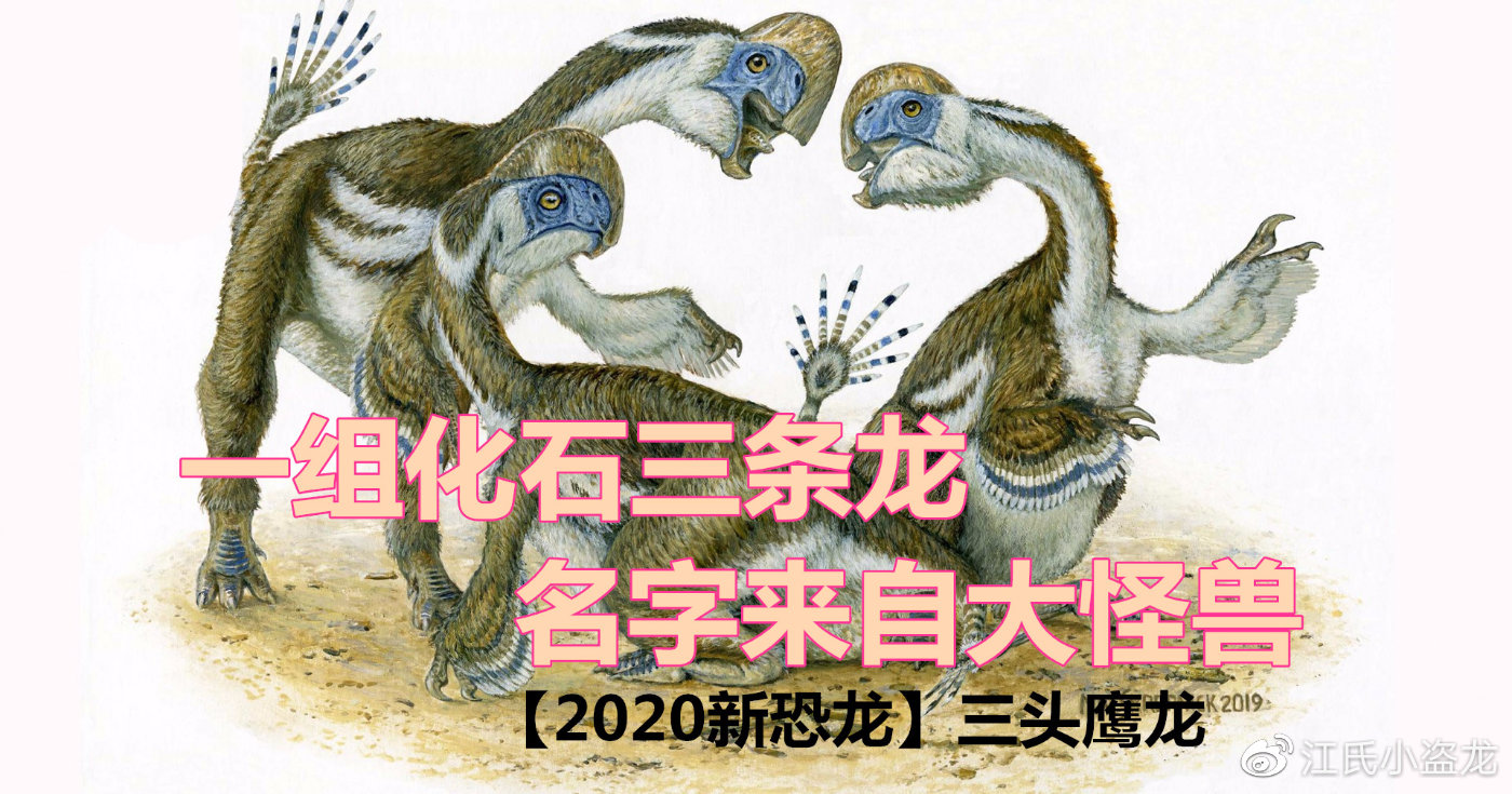 怪兽恐龙化石图片大全,恐龙化石里的怪兽