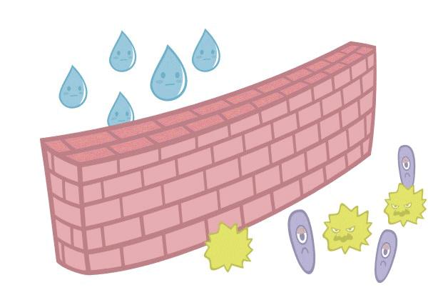 儿童湿疹科普视频,湿疹科普儿童