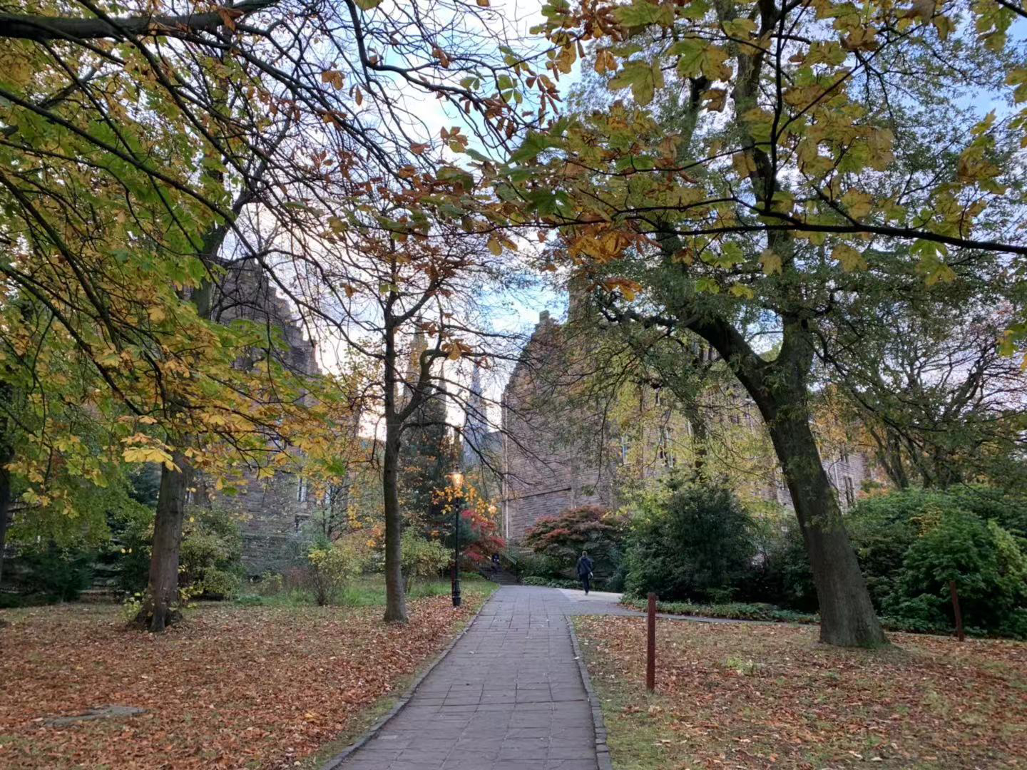 英国留学本硕连读有什么好处,小学生英国留学的好处和坏处