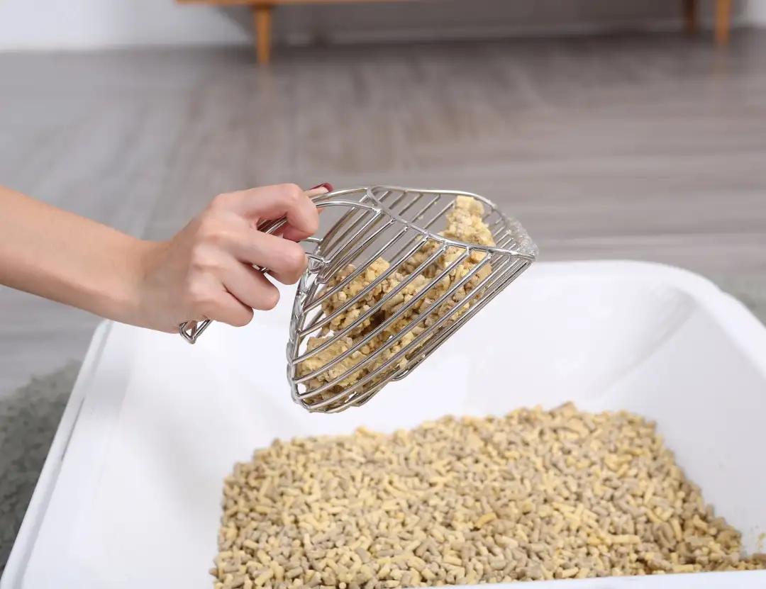 未来5年宠物智能产品,宠物产品logo设计