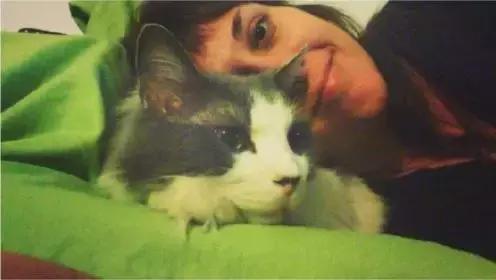 养猫党的十件事,新手养猫必须做的十件事