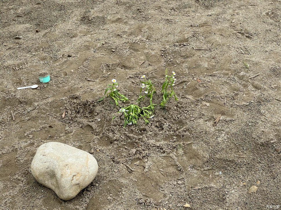 成都凤凰山公园可以爬山吗,成都凤凰山公园有什么好玩的