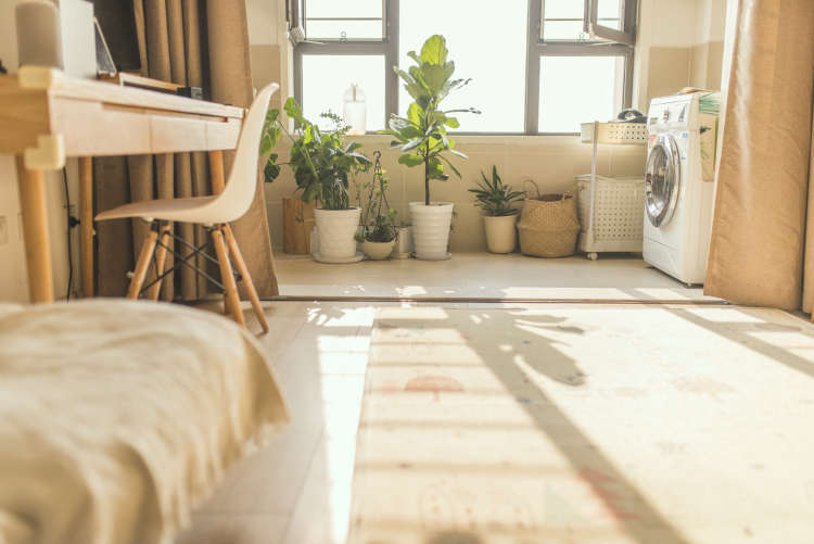 此心安处是吾家过大年,此心安处是吾家过年的感觉