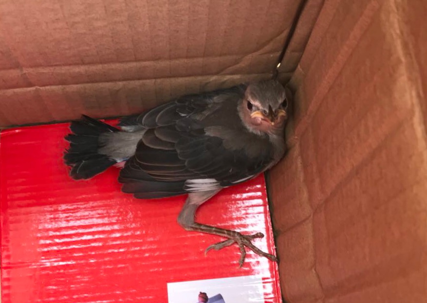 学姐来了请多关照,学妹来了学姐应该怎么办