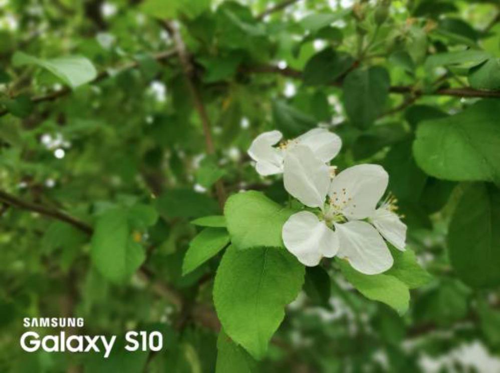 三星galaxys10打游戏,三星galaxys10哪些地方惊艳到你