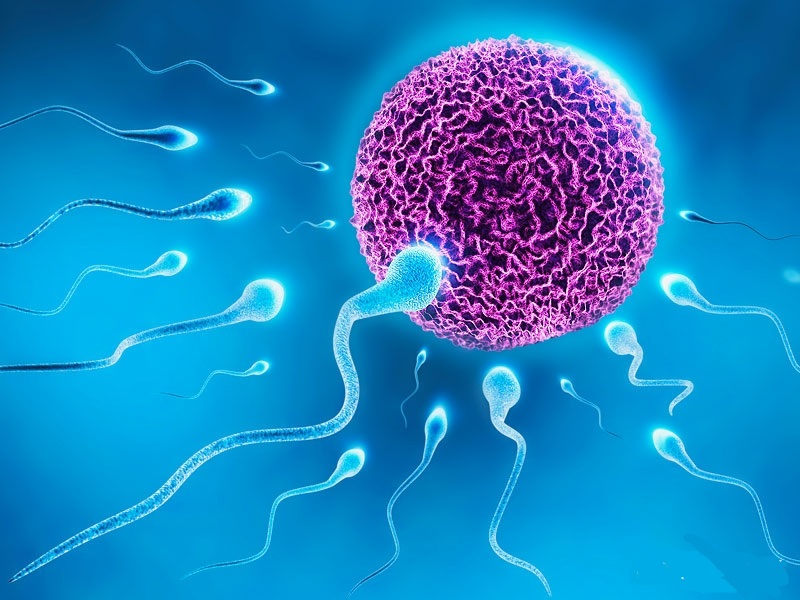 丈母娘生二胎女儿,丈母娘个子矮媳妇生孩子会遗传吗