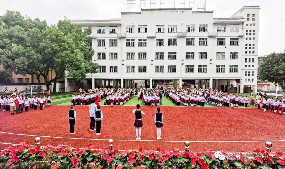 从小学先锋长大做先锋二年级图片,从小学先锋长大做先锋祝福视频
