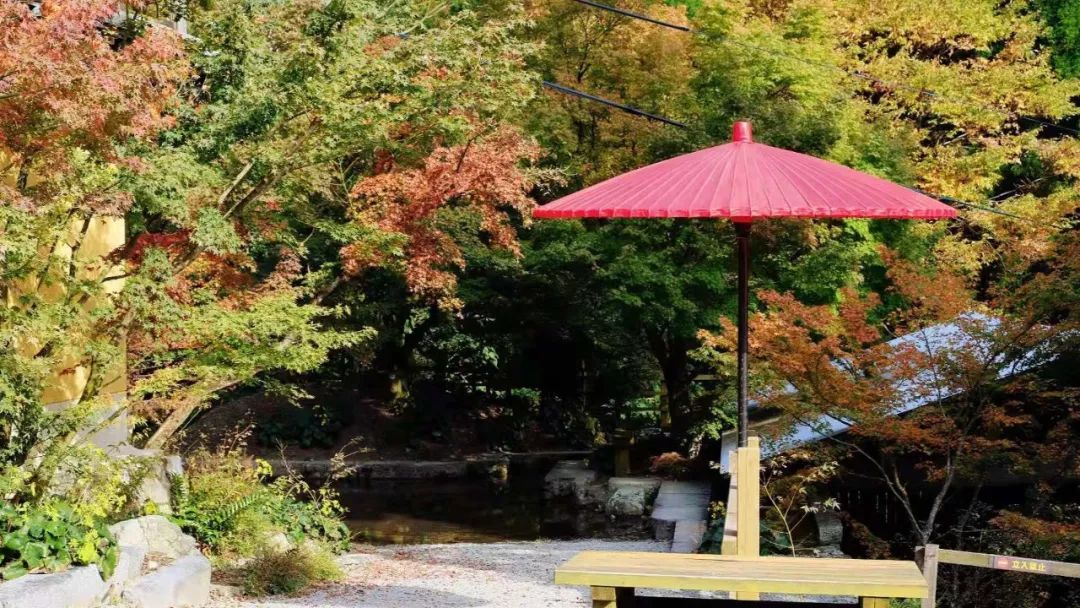 佐贺在日本的地理位置,佐贺市有什么好玩的地方推荐