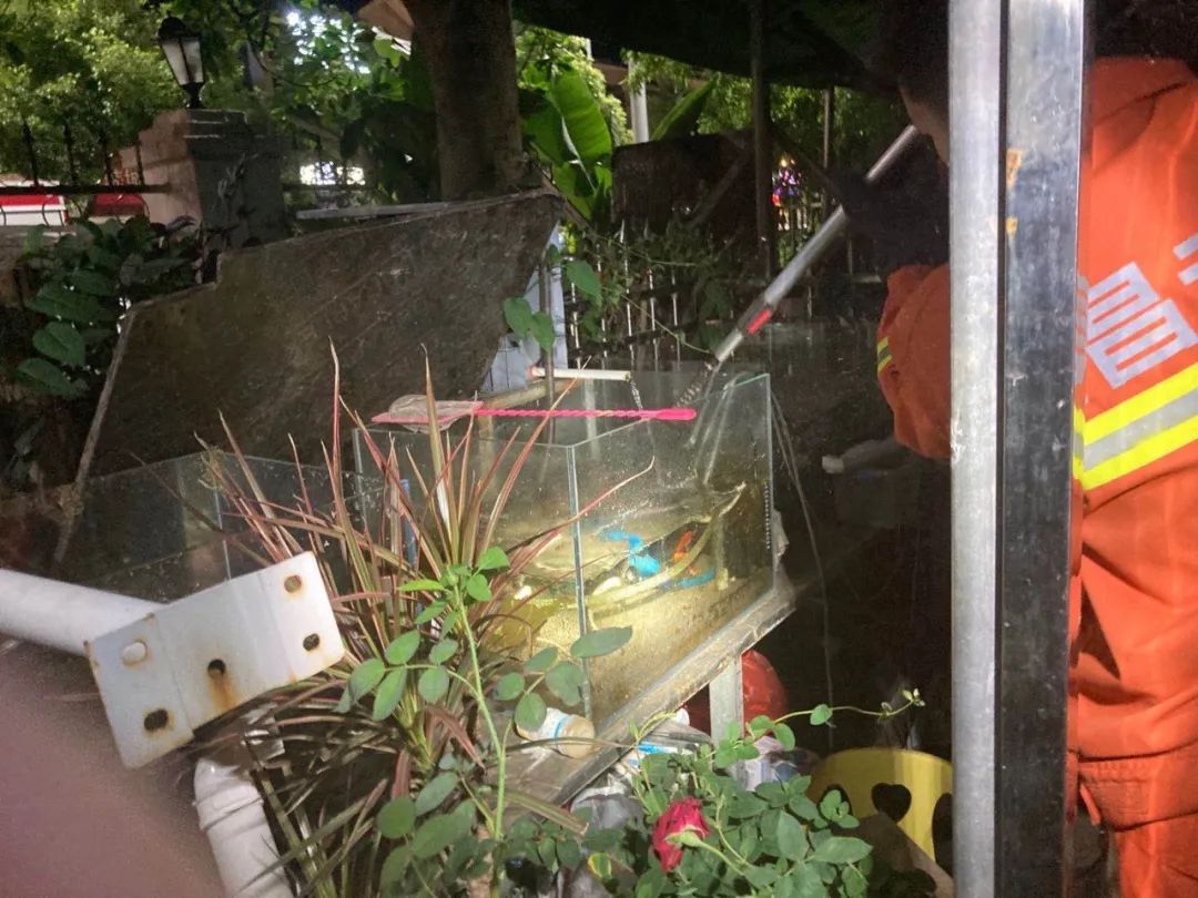 毒蛇在酒里一年后“复活”，村民开盖后被咬身亡！为何蛇没有死？