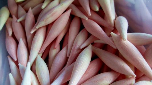 钓鱼用什么浮漂灵敏度最好,钓鱼浮漂哪种最灵敏好