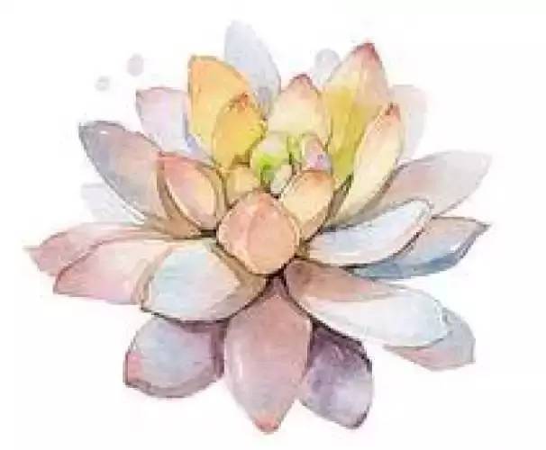 清洗毛衣的妙招和技巧,毛衣起球清洗妙招