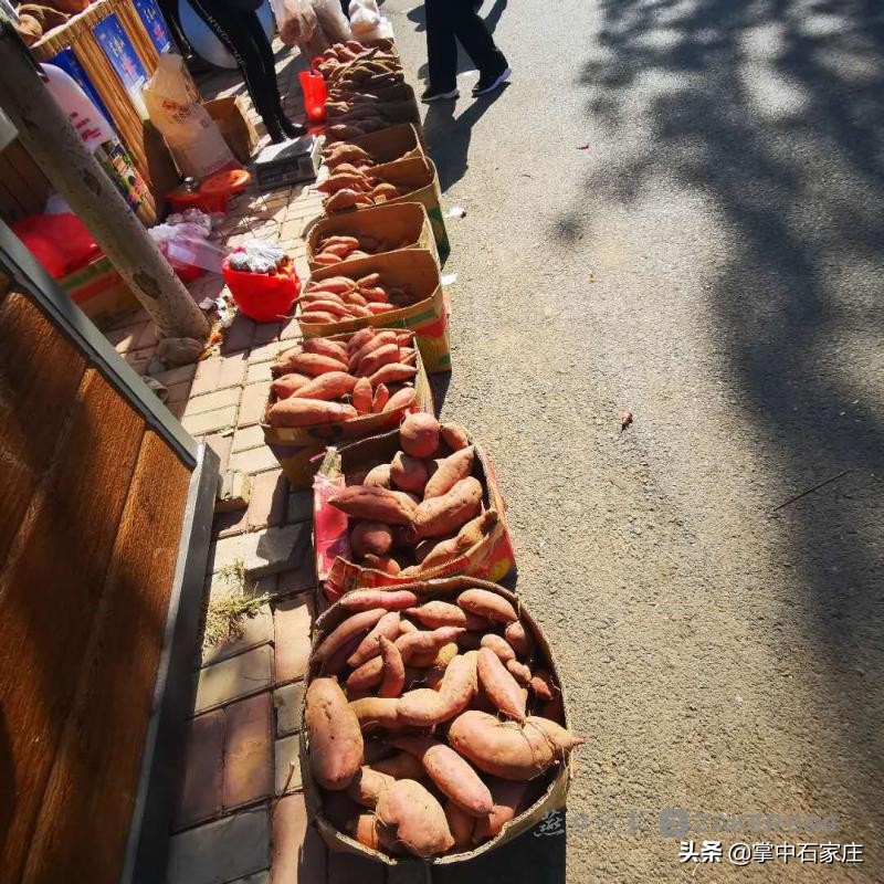 天路赏红叶自驾游古村落暨汽车特色农产品跨界行销活动顺利举行