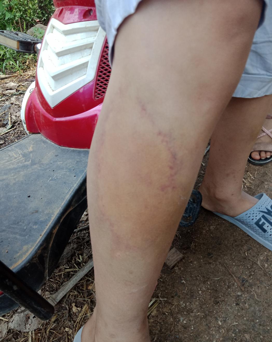 男子暴打女儿逼妻子回家,男子当街暴打亲生女儿惹众怒