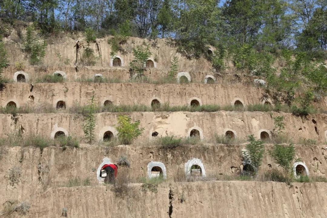 蜂蜜滞销的最新消息,3千斤蜂蜜滞销怎么办