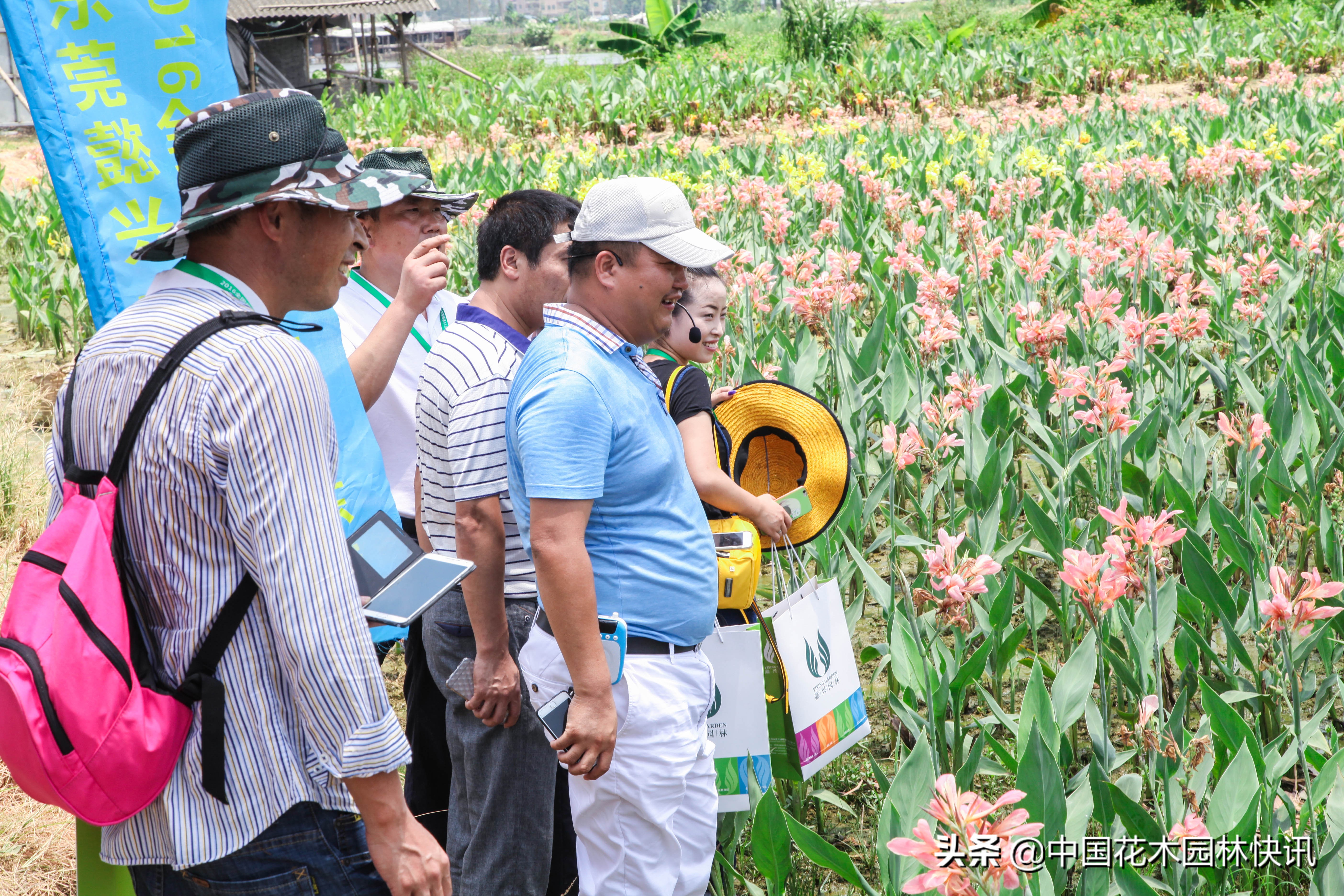 东莞周旭懿：十五年激情创业拼搏在水生植物领域绽放青*光春**芒