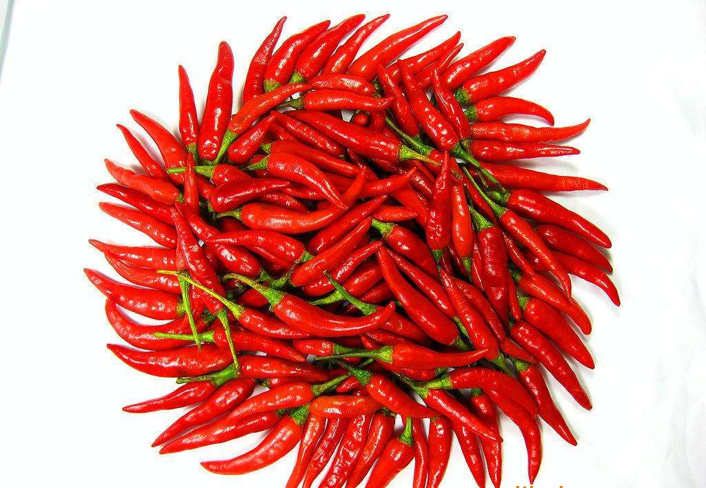 盘点吃最过瘾的辣东西有哪些,无辣不欢跟不辣不欢有什么区别吗
