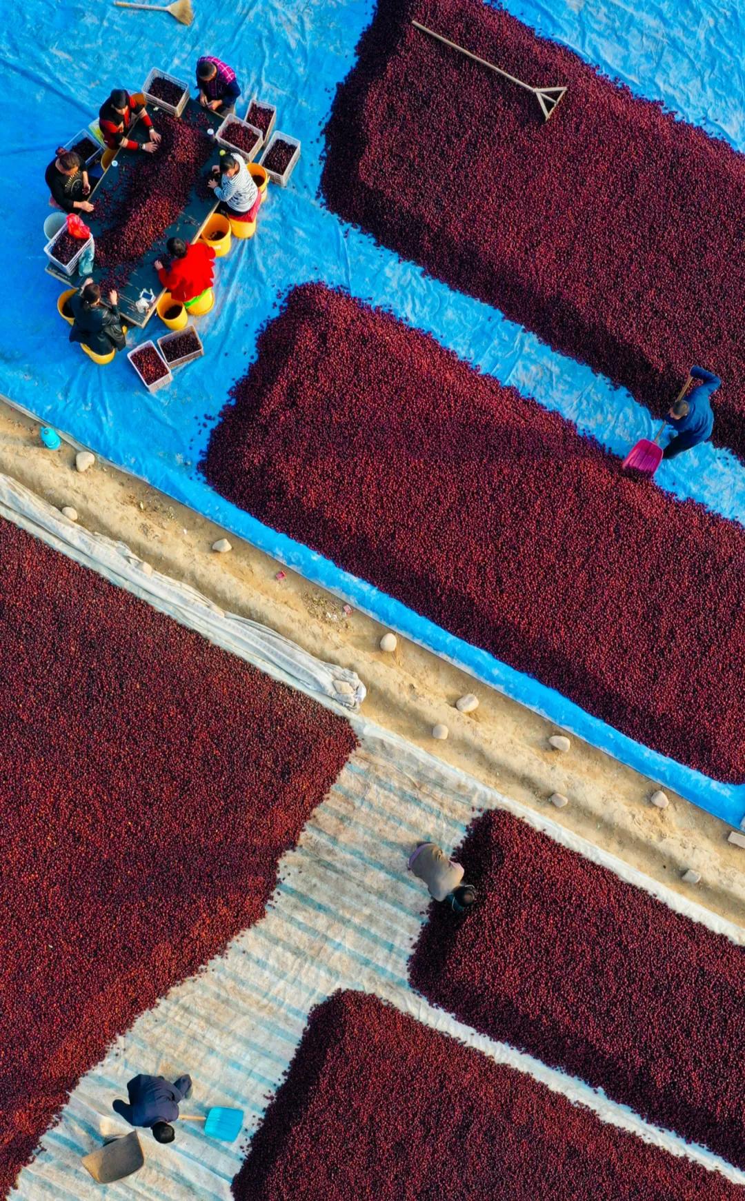 吕梁很富吗,山西吕梁是怎样的城市