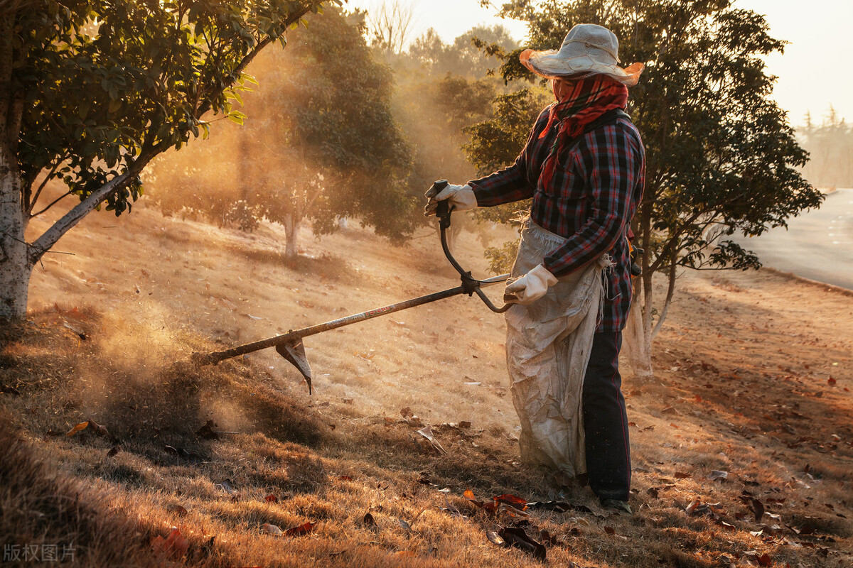 加强绿化养护管理工作,怎样抓好园林绿化管理