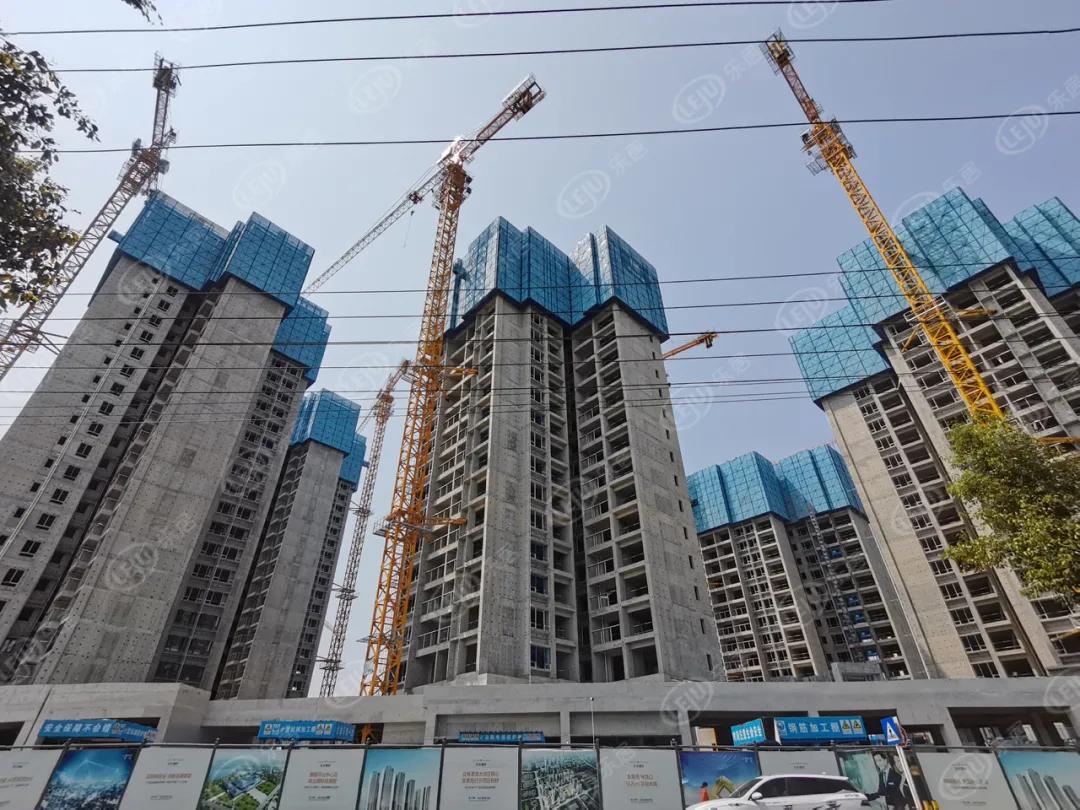 深圳降低买房门槛房价会涨吗,深圳市最低房价和最高房价差距