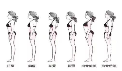 你可能不知的瑜伽桥式特殊作用和深度体式变体练习