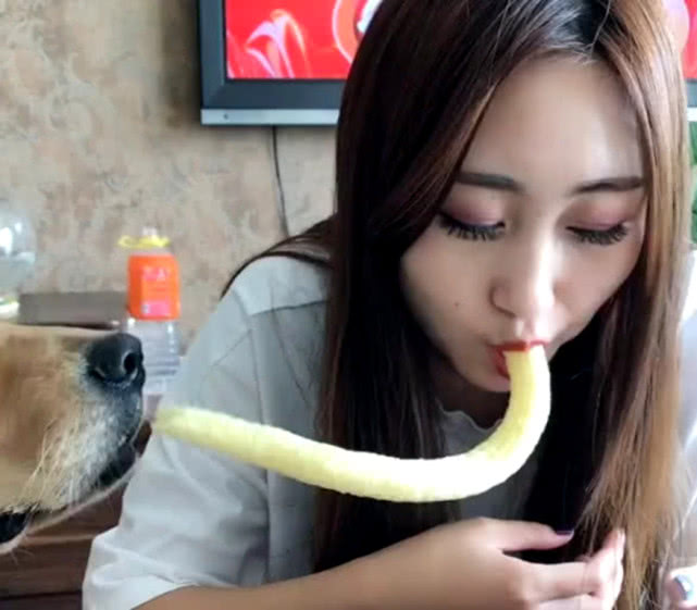 狗子偷偷吃零食被另一只狗狗发现,狗子偷吃巧克力被女子发现