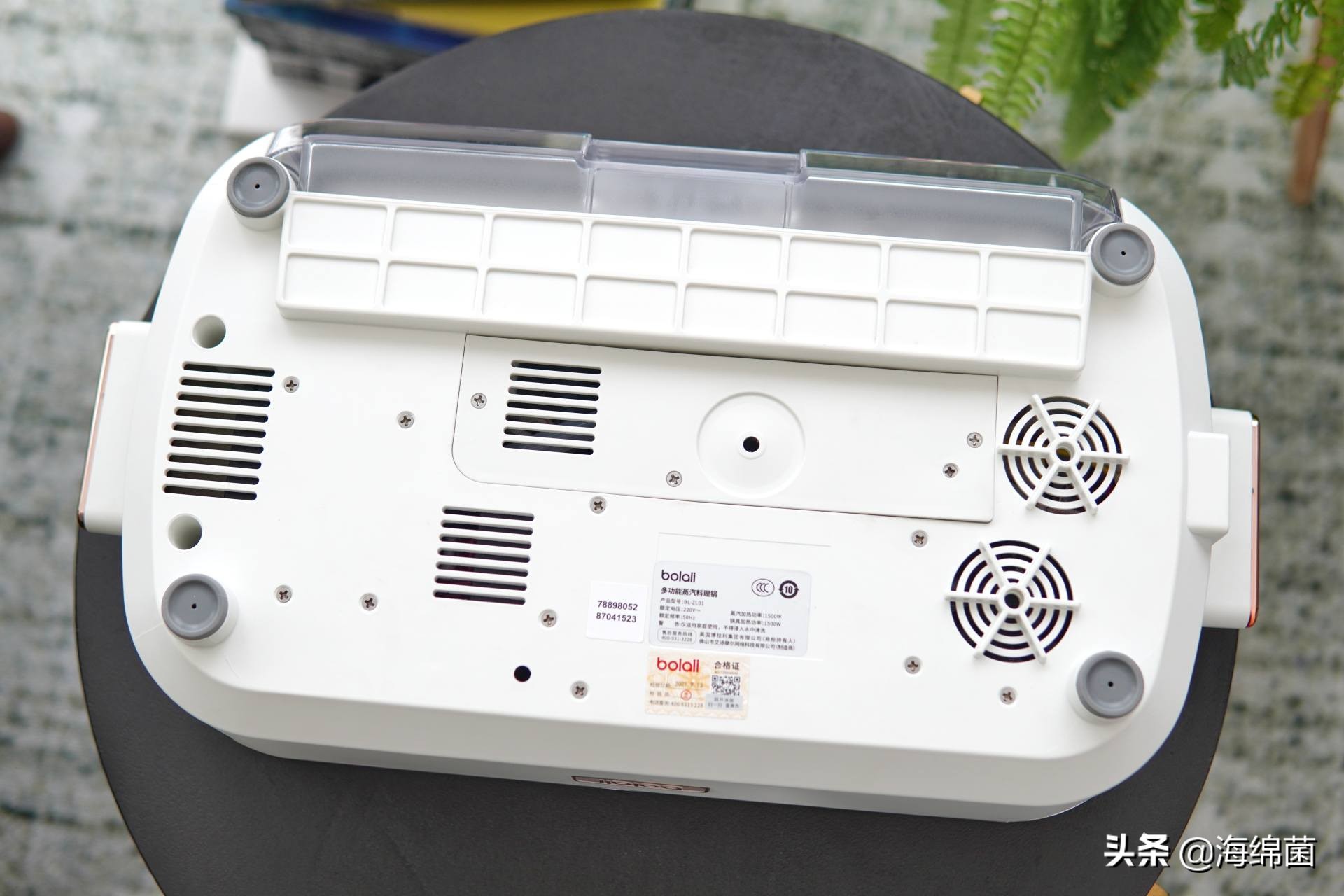 bolali博拉利多功能蒸汽料理锅,蒸汽桑拿锅测评