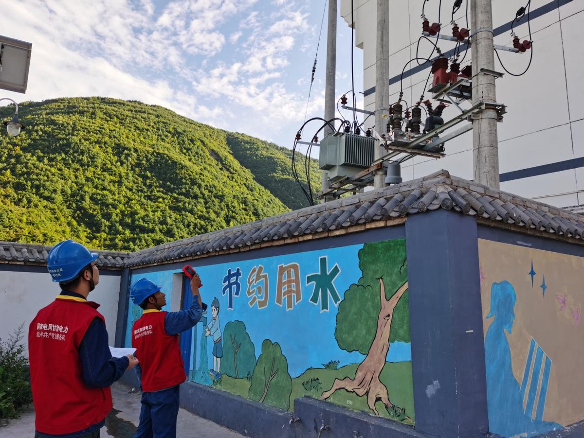 国网服务乡村振兴,志愿服务红马甲成乡村振兴生力军