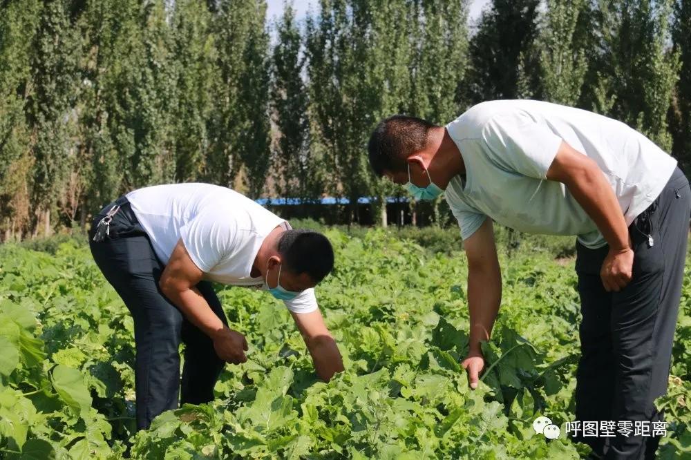走向我们的小康生活了吗,走向我们的小康生活图片