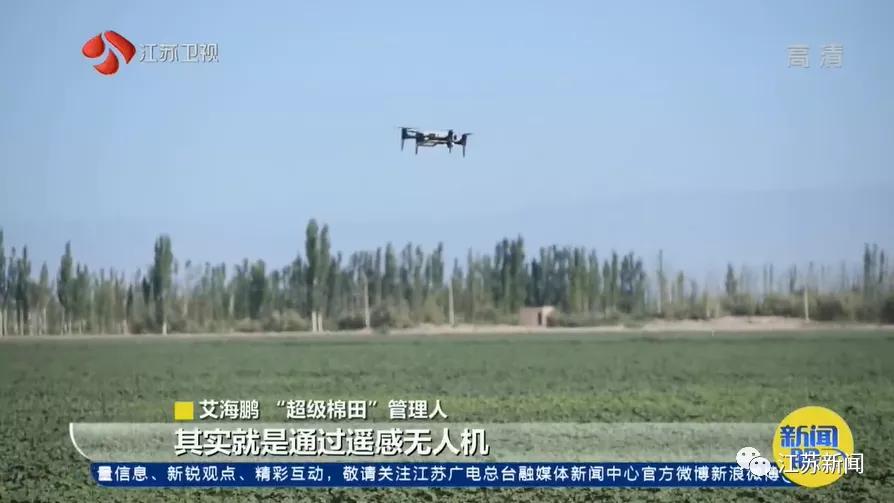 棉田种植方式,两个人挑战3000亩新疆棉田