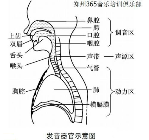 唱歌一张嘴就跑调,唱歌跑调五音不全一对一能学会吗