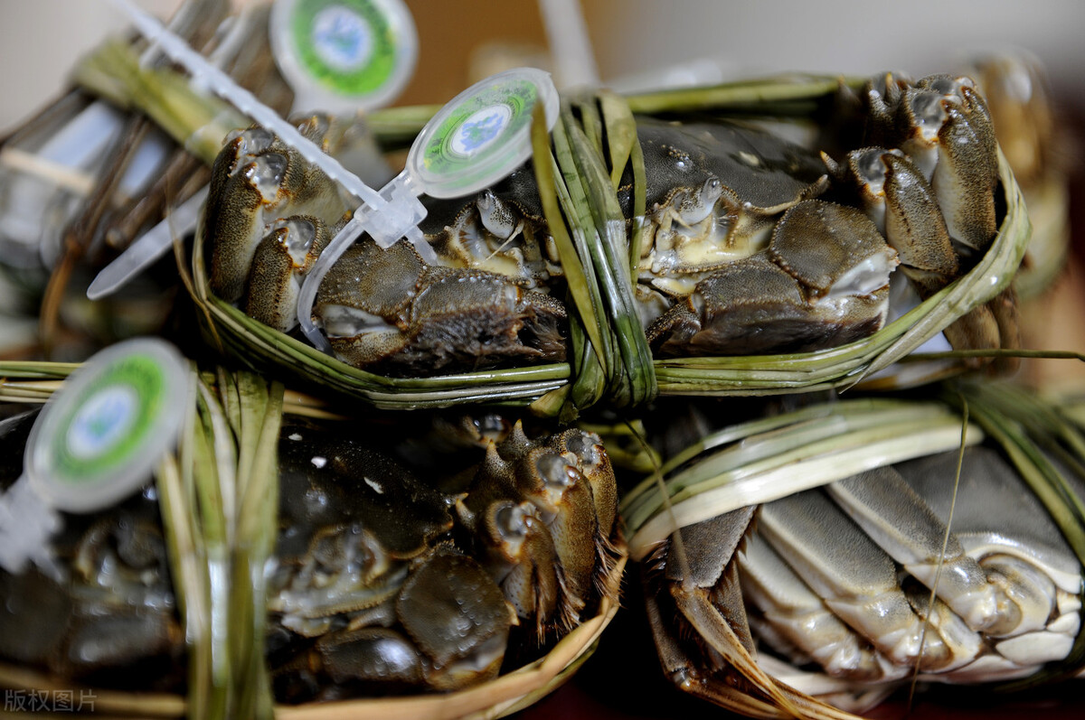 大闸蟹怎么滞销的,大闸蟹正值旺季卖不动