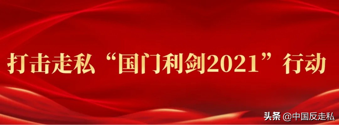 国门利剑刺猬紫檀走私案,国门利剑2019十大案件