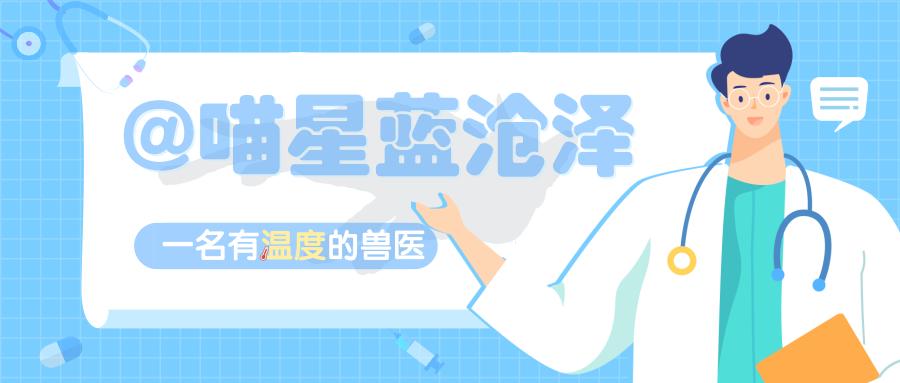 德牧太调皮怎么训练,德牧为什么那么调皮