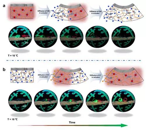 宁波材料所纳米机器人,宁波材料技术与工程研究所新闻
