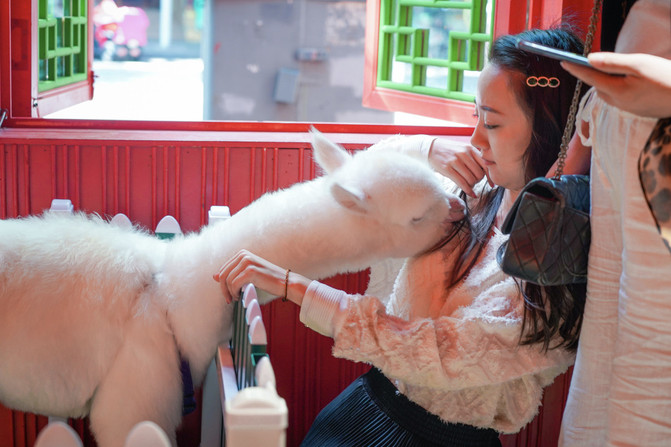 成都去重庆旅游攻略三日游,成都自驾九寨沟三日游攻略