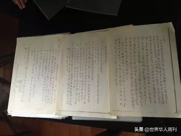 傅聪因什么过世,傅聪为什么逃往英国