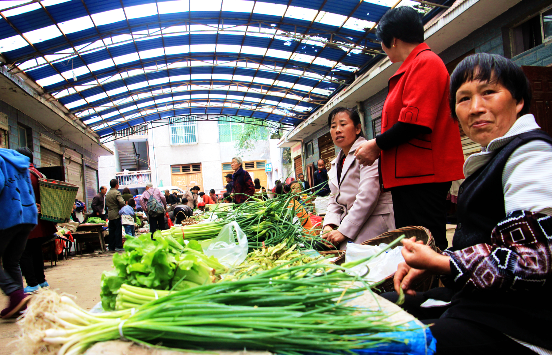 老年人赶场,在乡下赶集老年人