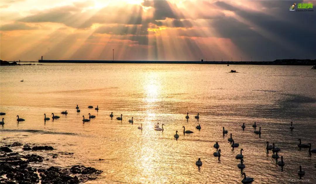 过年了爱车也要干干净净,过年了你的爱车洗干净了吗