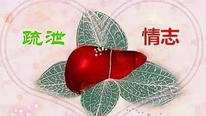 疏调气机汤治疗什么病,疏调气机治疗